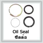 Oil Seal