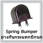 Spring Bumper